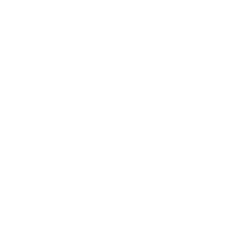 digital